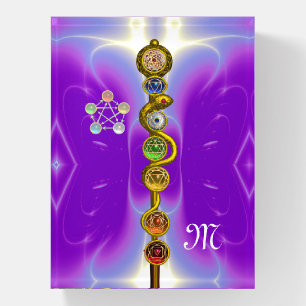 ROD OF ASCLEPIUS 7 CHAKRAS,YOGA ,SPIRITUAL ENERGY PAPERWEIGHT