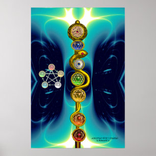 ROD OF ASCLEPIUS 7 CHAKRAS,YOGA ,SPIRITUAL ENERGY POSTER
