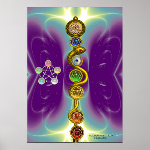 ROD OF ASCLEPIUS 7 CHAKRAS,YOGA ,SPIRITUAL ENERGY POSTER