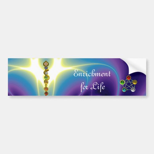 ROD OF ASCLEPIUS WITH 7 CHAKRAS SPIRITUAL ENERGY BUMPER STICKER