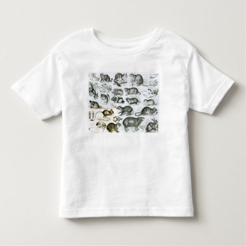 Rodentia_Rodents or Gnawing Animals Toddler T_shirt