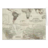 Rodentia, Ruminantia (Front Horizontal)