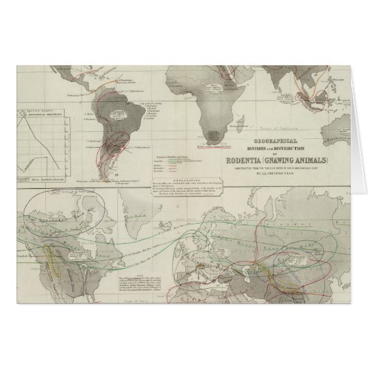 Rodentia, Ruminantia (Front Horizontal)