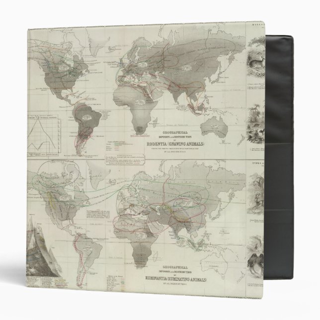 Rodentia, Ruminantia Binder (Front/Inside)
