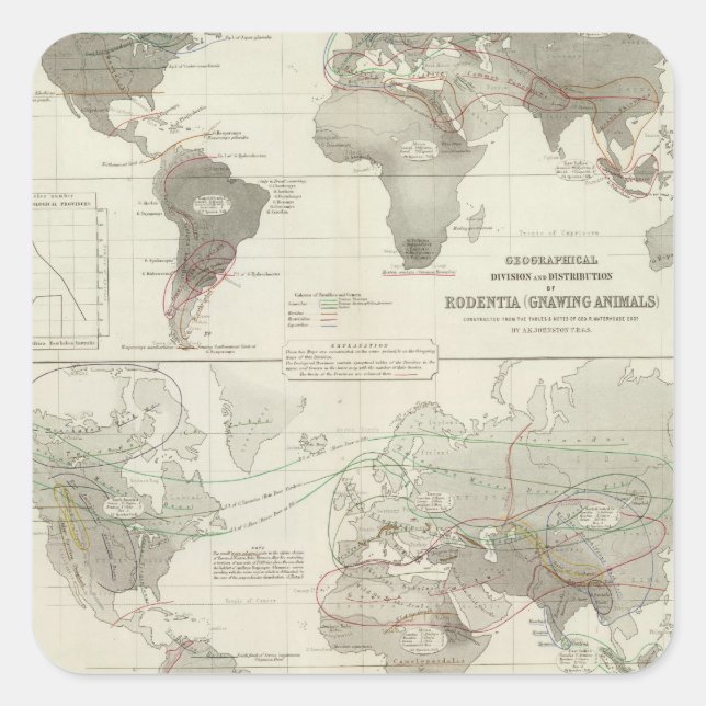 Rodentia, Ruminantia Square Sticker (Front)