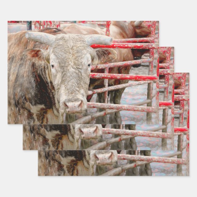 Rodeo Bull Rustic Country Western Wrapping Paper Sheets (Set)