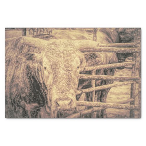 Rodeo Bull Rustic Vintage Antique Country Western Tissue Paper