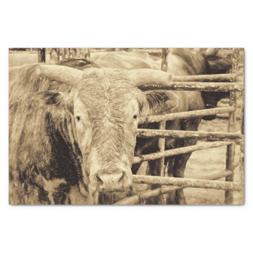 Rodeo Bull Rustic Vintage Sepia Country Western Tissue Paper
