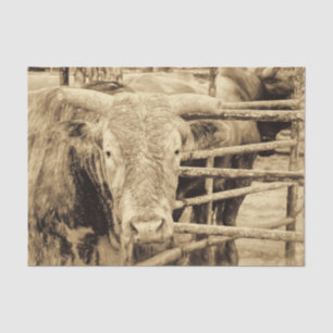 Rodeo Bull Rustic Vintage Sepia Country Western Tissue Paper