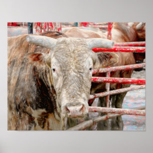 Rodeo Bull Rustic Western Country Poster