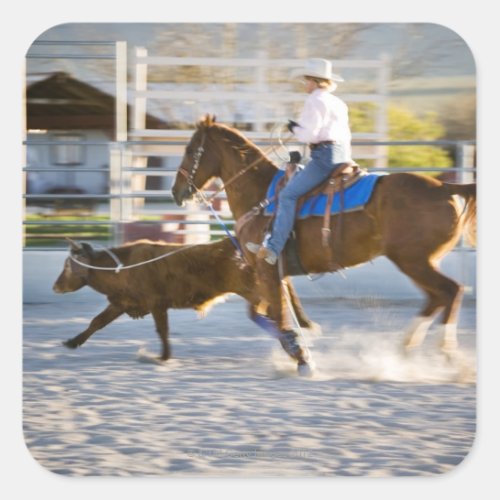 Rodeo cowboy calf roping square sticker