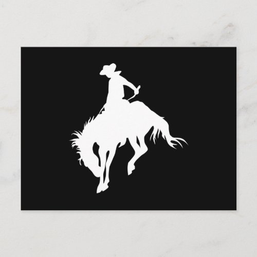 Rodeo Cowboy Postcard