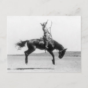 Rodeo Cowgirl on horse vintage photo Postcard