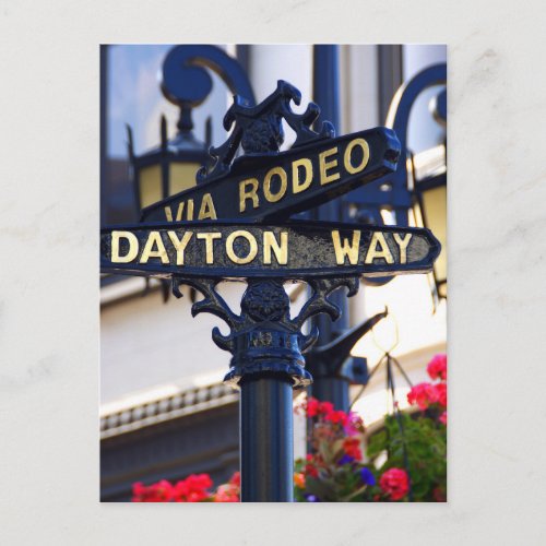 Rodeo Drive Postcard