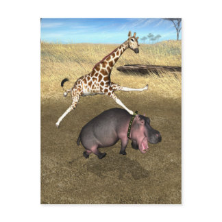 Rodeo Hippo Postcard