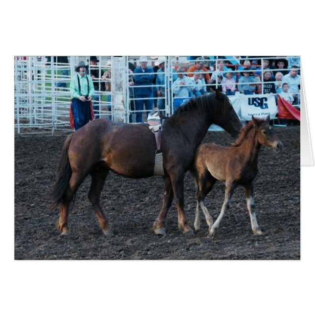 Rodeo Mare and Foal Cards (Front Horizontal)