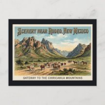 Rodeo, New Mexico - Cattle Drive Vintage Postcard