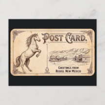 Rodeo, New Mexico - Horse Vintage Postcard