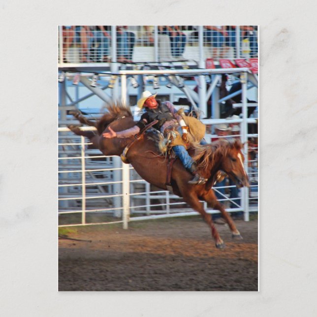 Rodeo! Postcard (Front)