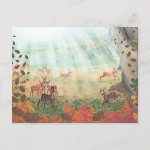 Roe Deer Capreolus capreolus in Forest Sunlight  Holiday Postcard