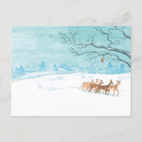 Roe Deer Group in Winter Postcard