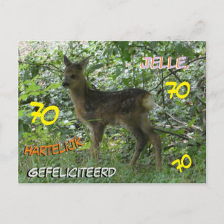 Roe Deer in Forest Cust. 70th Birthday Postcard