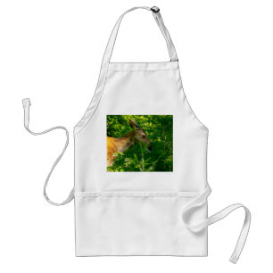 Roe deer in the forest. adult apron