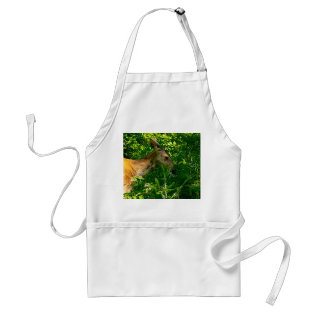 Roe deer in the forest. adult apron (Front)