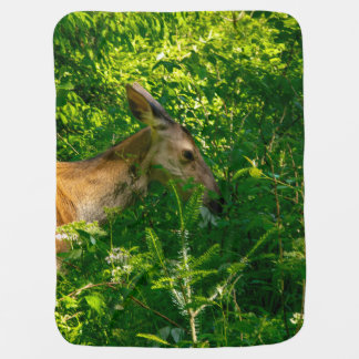 Roe deer in the forest. baby blanket