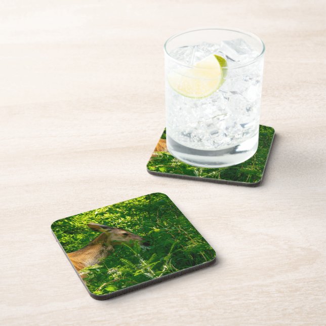 Roe deer in the forest. beverage coaster (Right Side)
