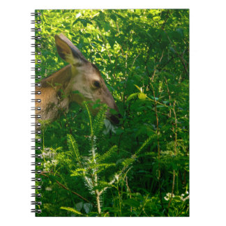 Roe deer in the forest. notebook