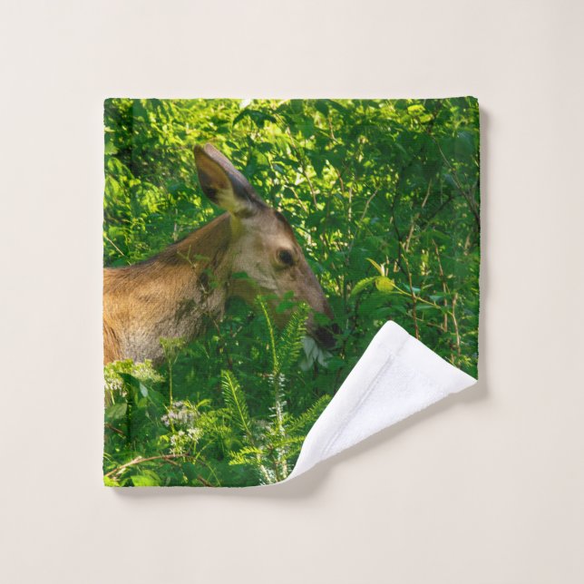 Roe deer in the forest. wash cloth (Wash Cloth)