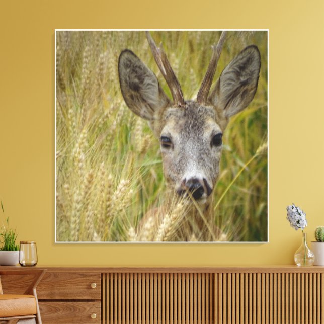 Roe Deer in Wheat Field- Nature Photography Print (Insitu(LivingRoom))