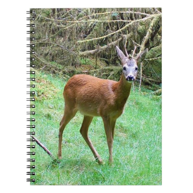Roe Deer Stag Posing Notebook (Front)