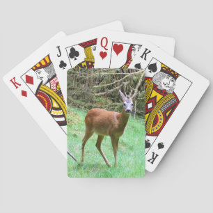 Roe Deer Stag Posing Poker Cards