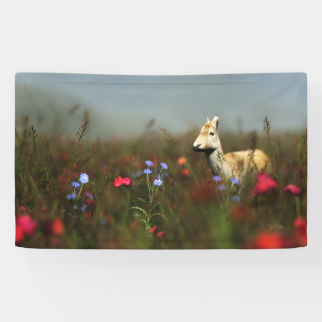 Roe in a Meadow Banner (Horizontal)