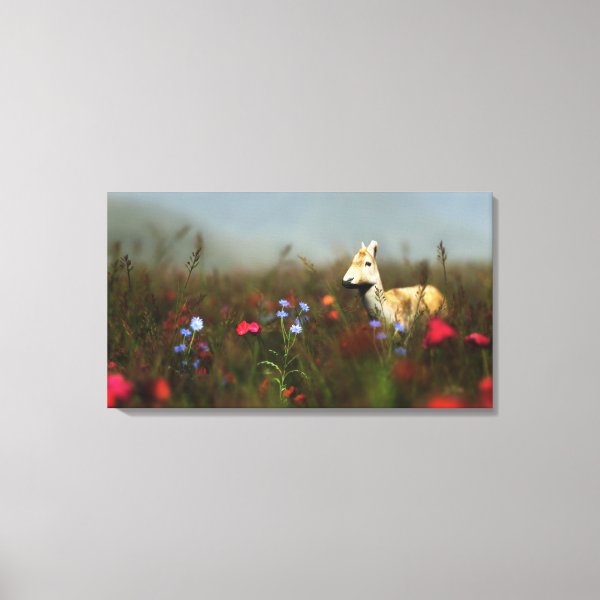 Roe in a Meadow Canvas Print