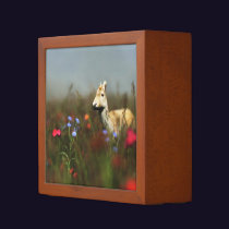 Roe in a Meadow Desk Organizer