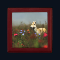 Roe in a Meadow Jewelry Box