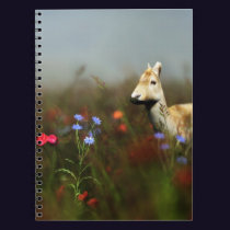 Roe in a Meadow Notebook