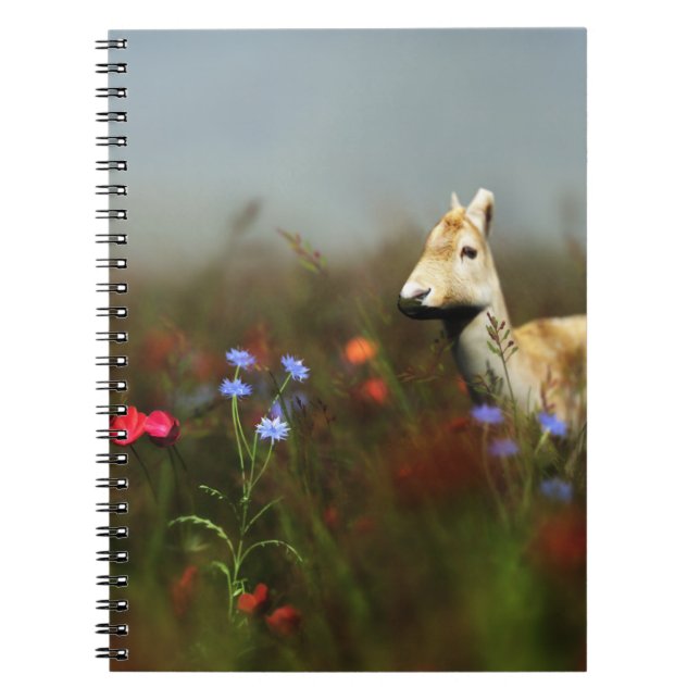 Roe in a Meadow Notebook (Front)