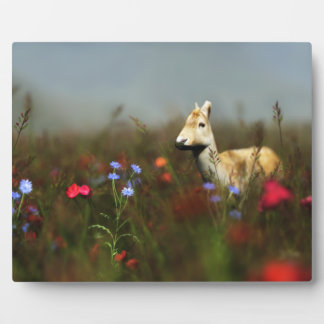Roe in a Meadow Photo Plaque
