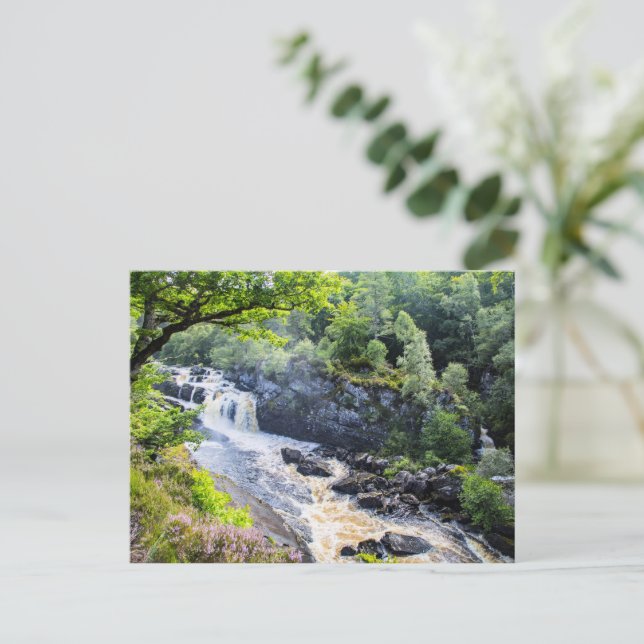 Rogie Falls, Scotland Postcard (Standing Front)