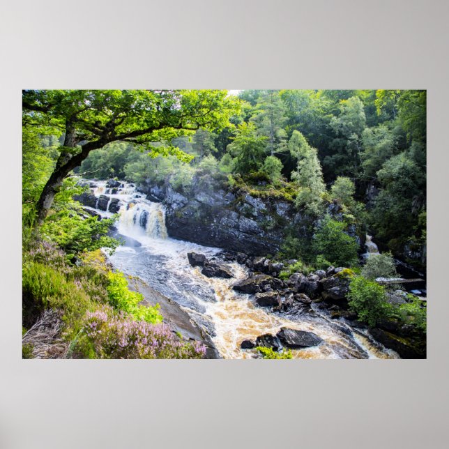 Rogie Falls, Scotland Poster (Front)