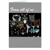 rogue's gallery (Front)