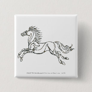 Rohan Symbol Pinback Button