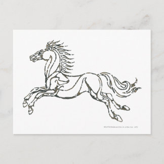Rohan Symbol Postcard