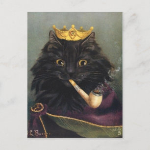 Roi chat postcard