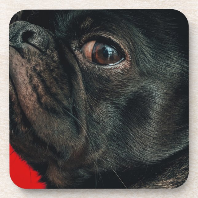 rojo dog beverage coaster (Front)