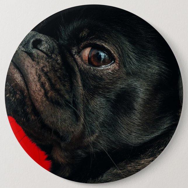 rojo dog button (Front)